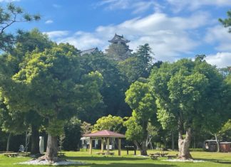 japon kochi histoire voyage shikoku château japonais musée culture