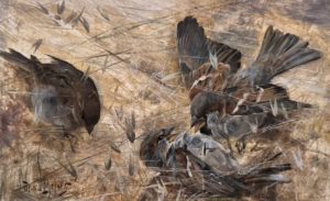 Bruno Liljefors - SYMA News - Art - Florence Gopikian - Yeremian - EXPOSITION - PETIT PALAIS - OISEAUX - NATURE - BIRDS