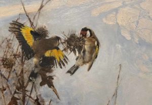 Bruno Liljefors - SYMA News - Art - Florence Gopikian - Yeremian - EXPOSITION - PETIT PALAIS - OISEAUX - NATURE - BIRDS