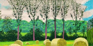 David-hockney-exposition-musee-orangerie-symanews-yeremian-gopikian