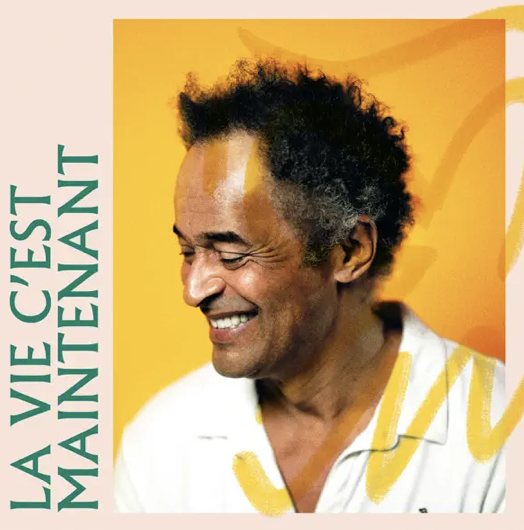 Yannick Noah - la vie c'est maintenant -