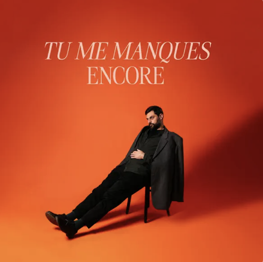 Madame monsieur - tu me manques encore -