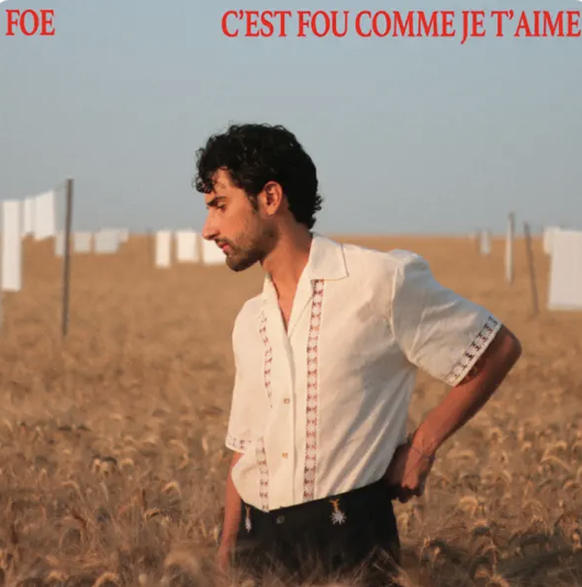 Foé - C'est fou comme je t'aime -