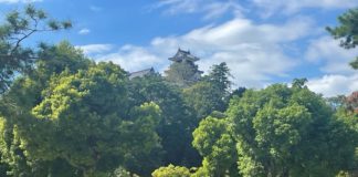 japon kochi histoire voyage shikoku château japonais musée culture