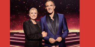 Merci Dorothée - Dorothée - Nikos Aliagas - TF1 -